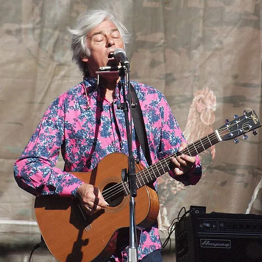 Robyn Hitchcock