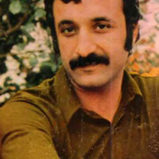 Hassan Shamaizadeh