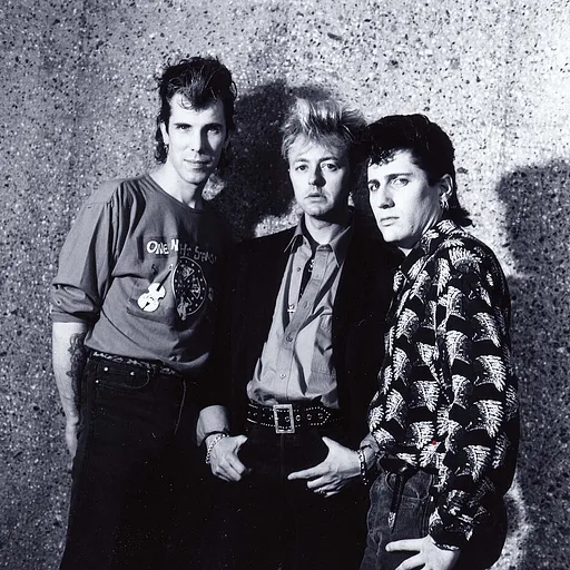 Stray Cats