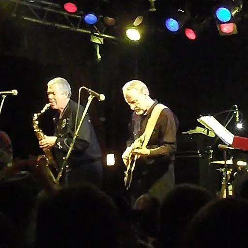 The Sonics