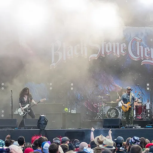 Black Stone Cherry