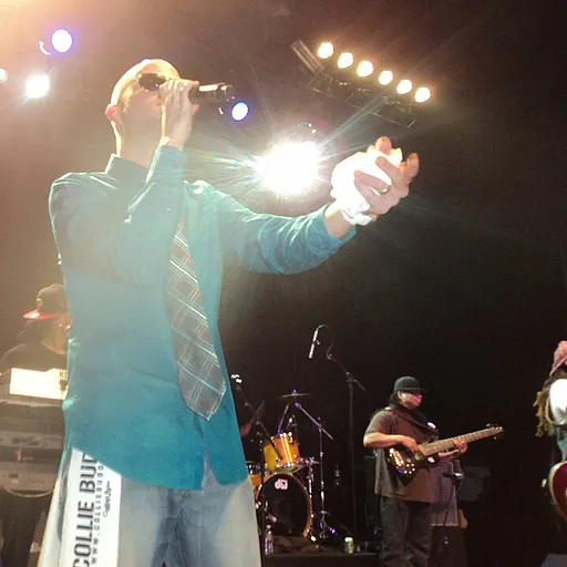 Collie Buddz