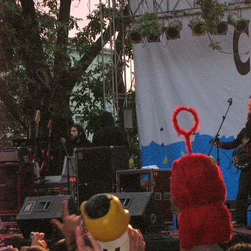 Chancho en Piedra