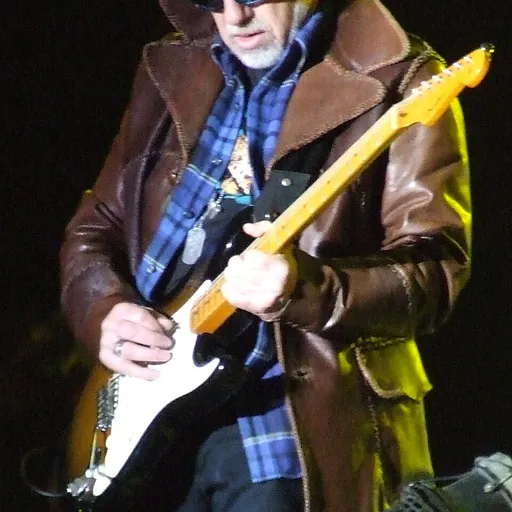 Brad Whitford