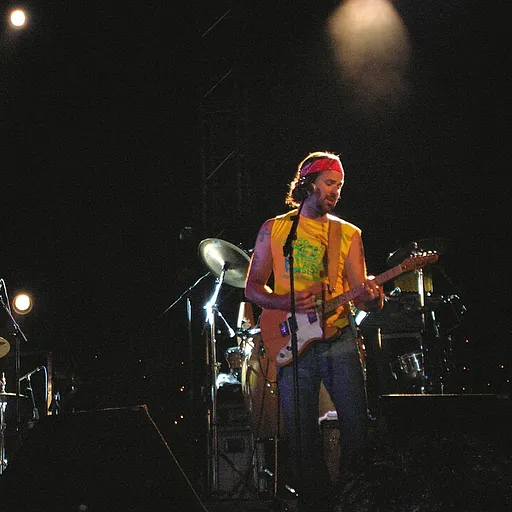 Jarabe de Palo