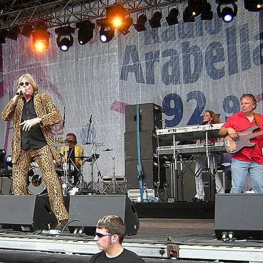 Geier Sturzflug