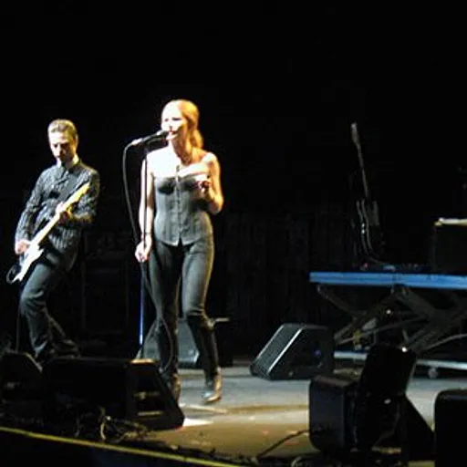 The Cardigans