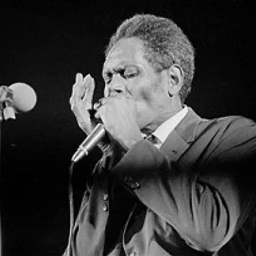 Big Walter Horton
