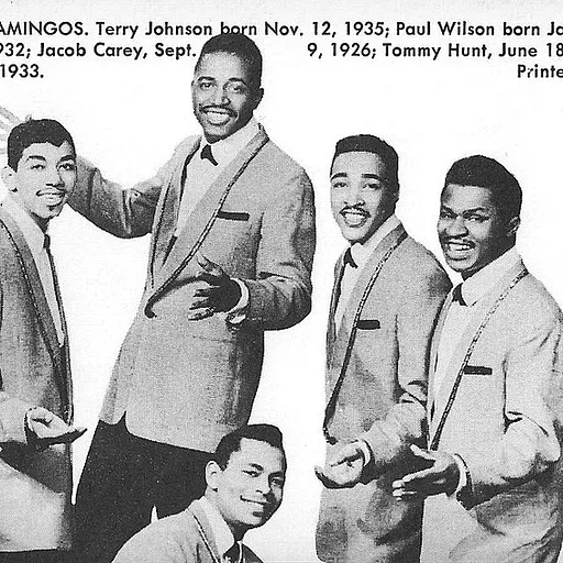 The Flamingos