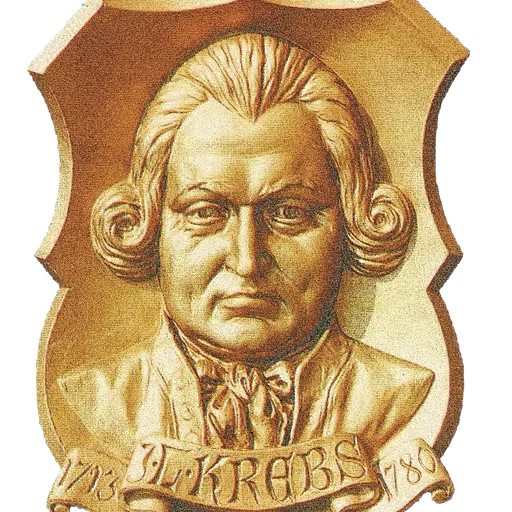 Johann Ludwig Krebs