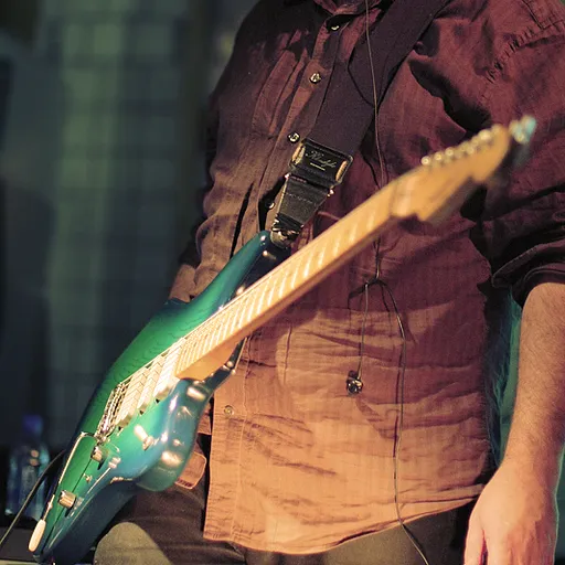 Robin Guthrie