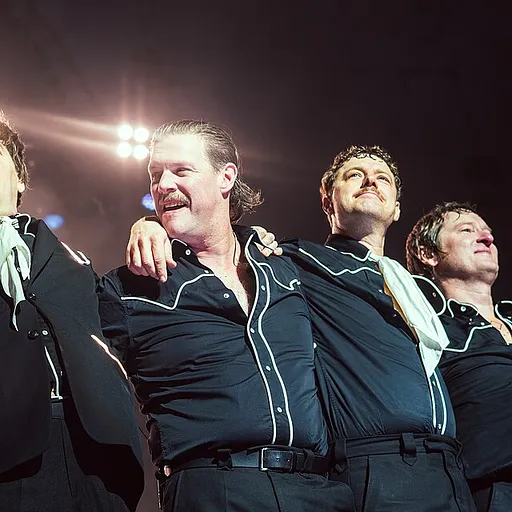 The Hives