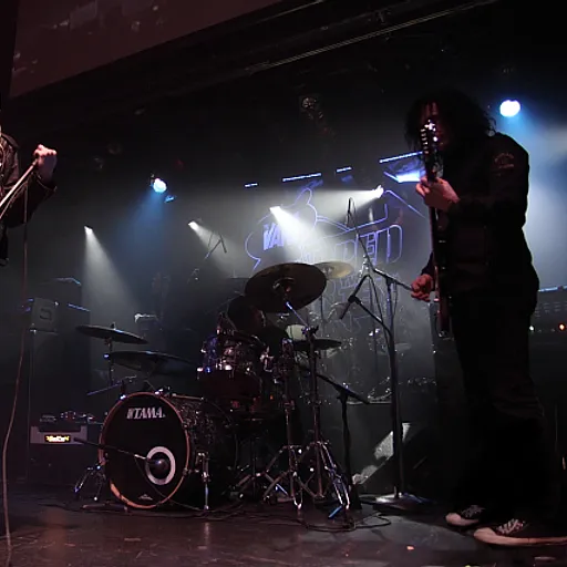 The Pretty Reckless