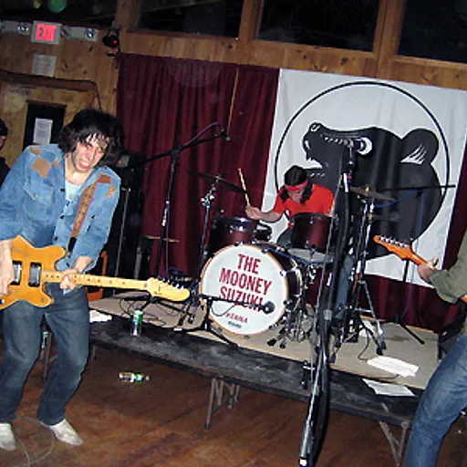 The Mooney Suzuki