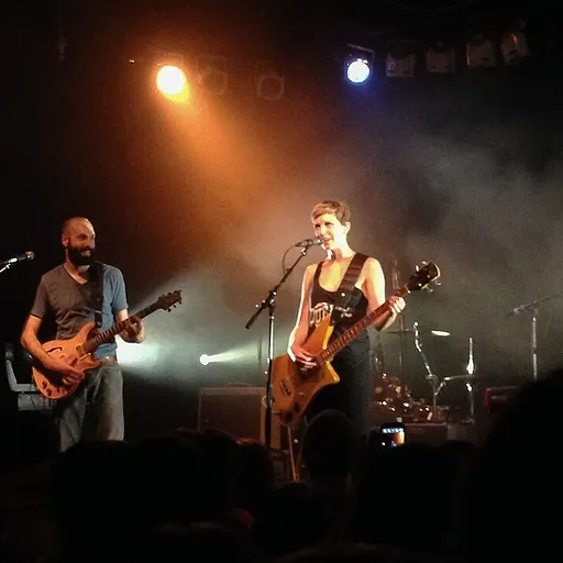 Pomplamoose