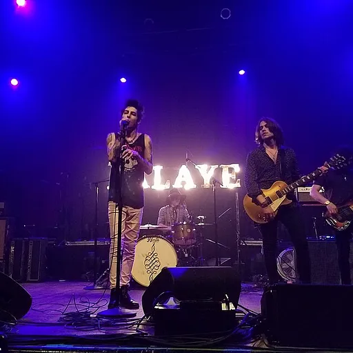 Palaye Royale
