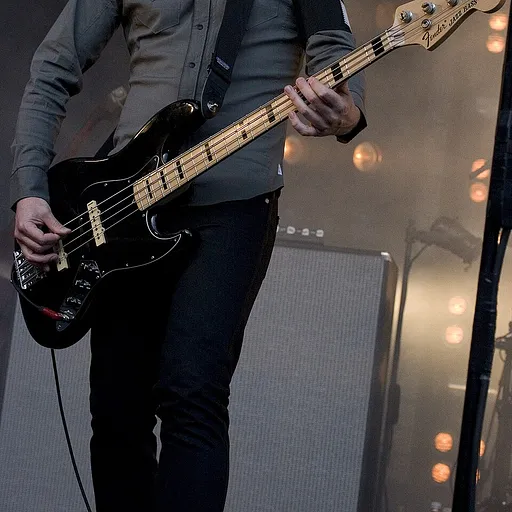Justin Meldal‐Johnsen