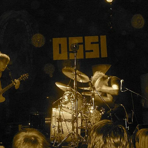 Johnossi