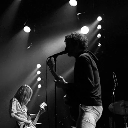 Blonde Redhead