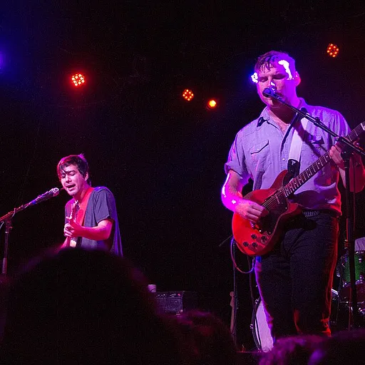 FIDLAR