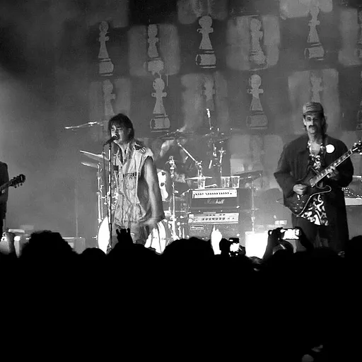 The Voidz
