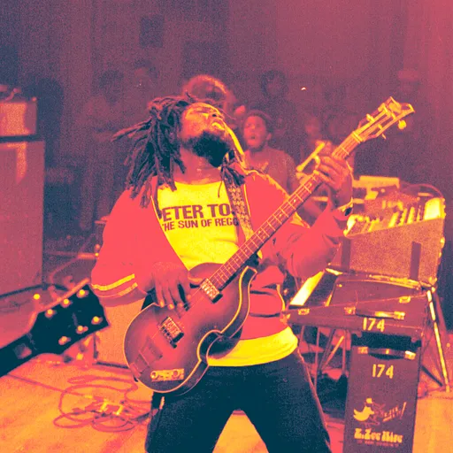 Sly & Robbie