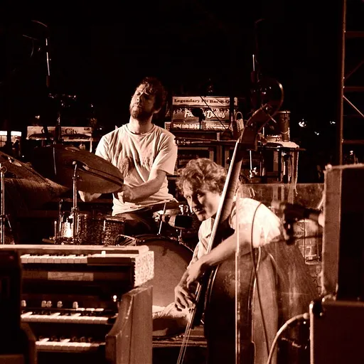 Medeski, Martin & Wood
