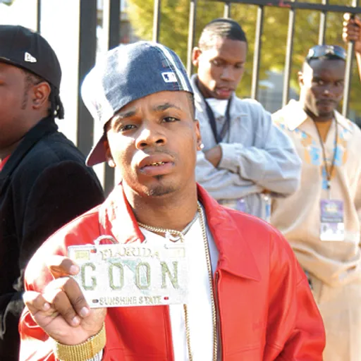 Plies