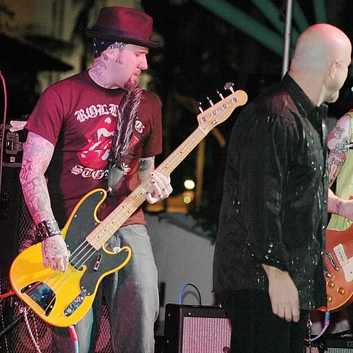 The Fabulous Thunderbirds
