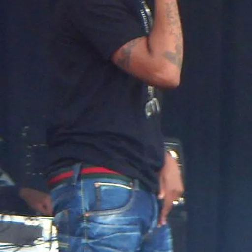 Chip