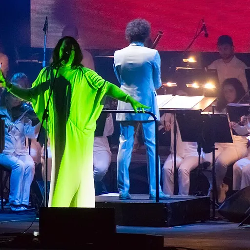 ANOHNI and the Johnsons