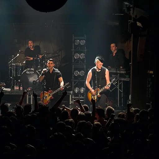 Broilers