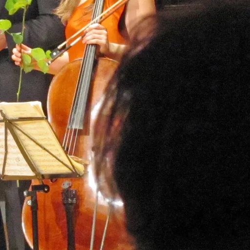 Alisa Weilerstein