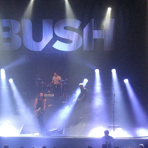 Bush