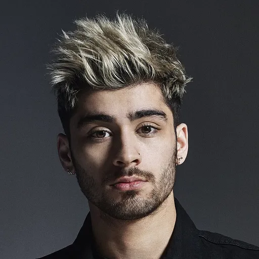 ZAYN