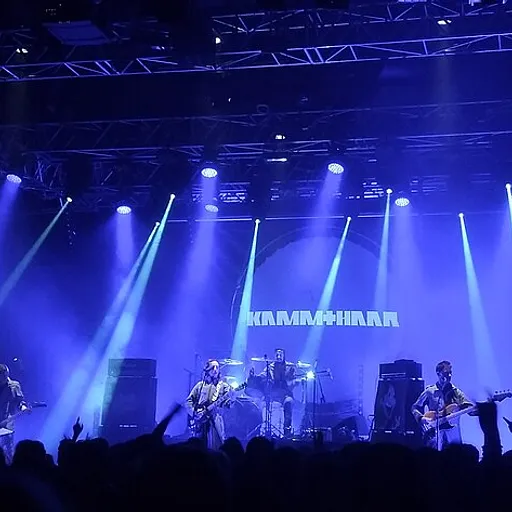 Ultra Vomit