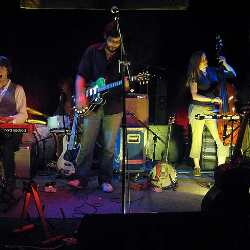 Shearwater