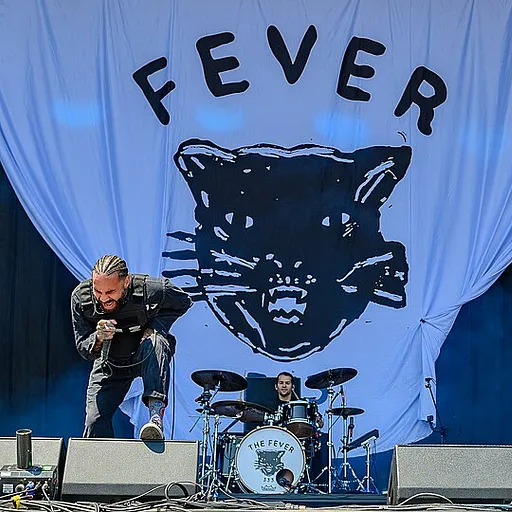 FEVER 333