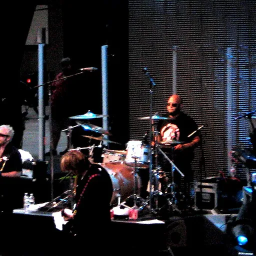 The Psychedelic Furs