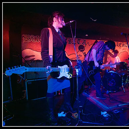 Six Organs of Admittance