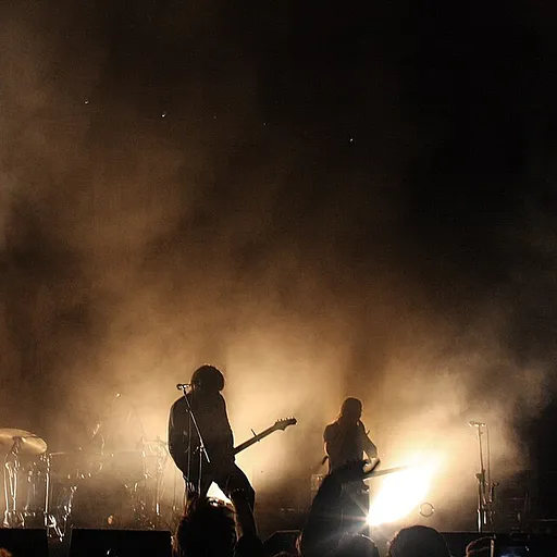 The Vaccines