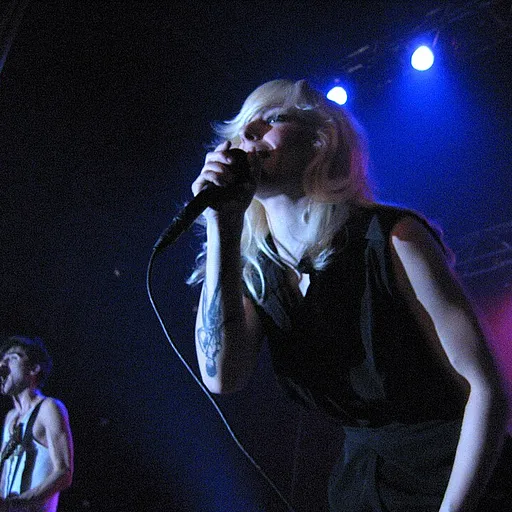 The Sounds
