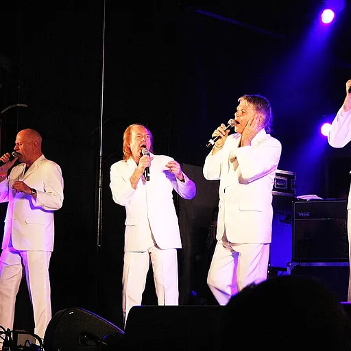 The Rubettes
