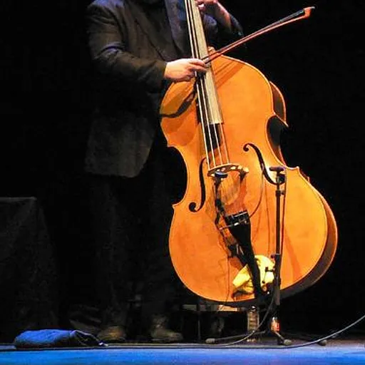 Gavin Bryars