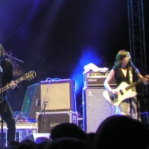 Silversun Pickups