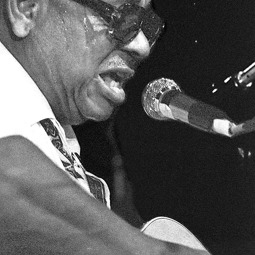 Big Joe Williams