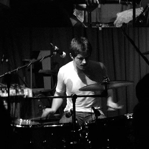 The Dodos