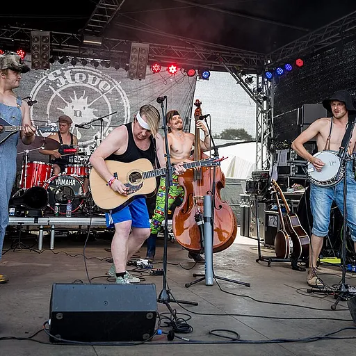 Steve ’n’ Seagulls