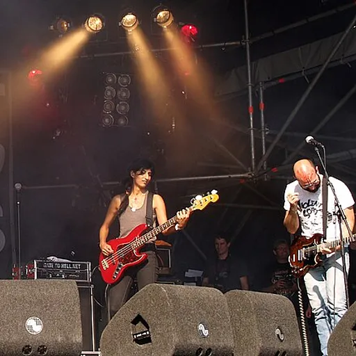 Les Savy Fav