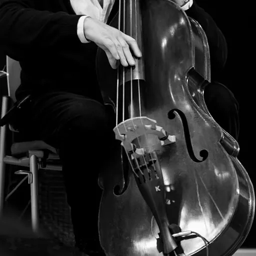 Miroslav Vitouš